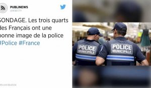 SONDAGE. Les trois quarts des Français ont une bonne image de la police.