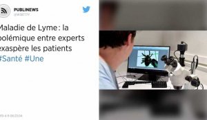 Maladie de Lyme. Les patients n'en peuvent plus des polémiques entre experts