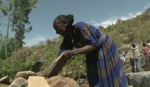 Éthiopie : la permaculture, clé de la prospérité en milieu rural