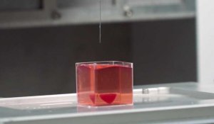 Un prototype de cœur imprimé en 3D à partir de tissu humain