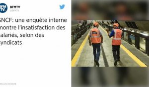 SNCF. Une enquête interne montre l'insatisfaction des salariés, selon des syndicats