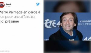 Pierre Palmade en garde à vue dans une affaire de viol présumé