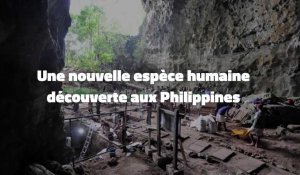 Une nouvelle espèce humaine découverte aux Philippines