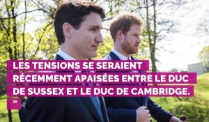 La réconciliation des princes Harry et William, Pierre Palmade se confie sur ses addictions : toute l'actu du 29 avril