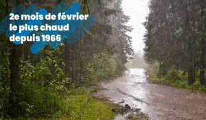 Bilan météo Février 2020 dans l'Aube