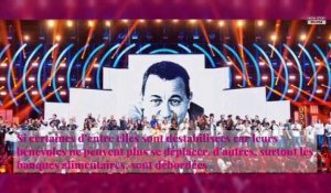 The Voice : pourquoi TF1 remplace l'émission par un concert des Enfoirés ?
