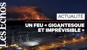 Un important feu de forêt ravage la zone de Tchernobyl