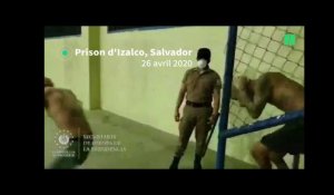 Pourquoi le Salvador confiné met en scène ses prisonniers