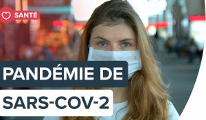 Pandémie de SARS-COV-2 : faut-il s'inquiéter ? | Futura