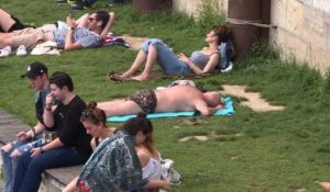 A Paris, on flâne sur les quais avant l'arrivée de la canicule