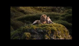 Le Roi Lion (2019) - Spot TV : L&#39;amour brille sous les étoiles (VOST) | Disney