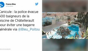Canicule : La police évacue 600 personnes d'une piscine pour éviter une rixe dans la Vienne