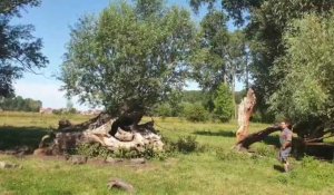 La plus belle prairie de Wallonie