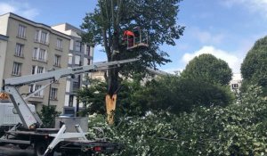 Brest. Un arbre bloque la rue Richelieu à la suite de la tempête Wolfgang