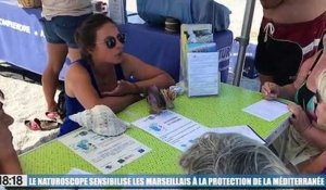 Le Naturoscope sensibilise les Marseillais à la protection de la Méditerranée
