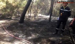 Gard : l'incendie est fixé, 488 hectares brûlés