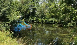 Fontenay-le-Comte. Campagne de lutte contre les plantes invasives, sur la Vendée 