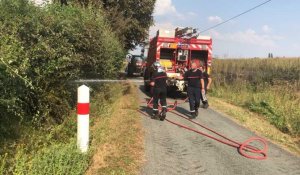 Sainte-Scolasse. Plus de 50 ha de champs partent en fumée