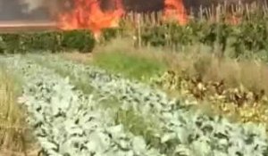 Un champ de blé brûle à Hantay