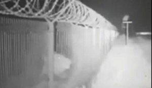 Un ours s'introduit dans un aéroport en Russie en passant à travers la clôture (vidéo) 