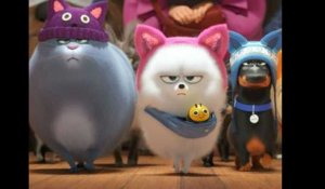 The Secret Life of Pets 2: Official Trailer HD VF
