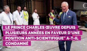 Le prince Charles accusé de "charlatanisme" : son nouvel engag...
