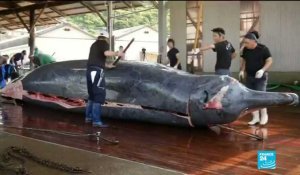 Au Japon, la chasse commerciale à la baleine de nouveau autorisée