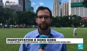 Manifestation à Hong-Kong : "les contestataires veulent que leur marche soit légale"