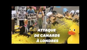 Le QG de Boris Johnson attaqué avec... des canards en plastique