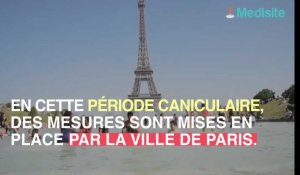 Canicule : une carte et une application pour trouver de la fraîcheur en ville