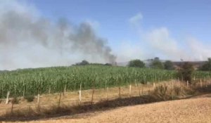 Une quinzaine d'hectares de champs part en fumée entre Neuville-sous-Montreuil et Estrée
