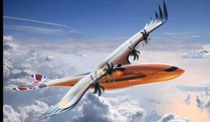 L'avion du futur pourrait ressembler à un aigle ou à un albatros