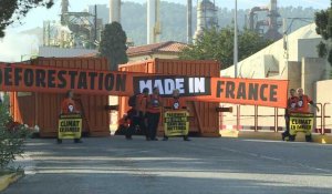 Greenpeace bloque une raffinerie Total utilisant de l'huile de palme