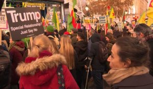 Manifestation à Londres contre le sommet de l'OTAN et la visite de Trump