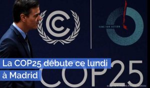 Environnement : La COP25 débute ce lundi à Madrid