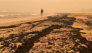 Les cendres des incendies recouvrent une plage en Australie