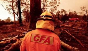 Incendies en Australie : Chris Hemsworth fait un énorme don et lance un appel sur Instagram