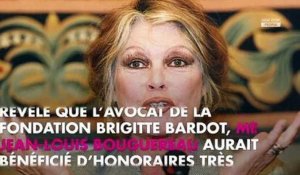 Brigitte Bardot : sa fondation épinglée par la Cour des comptes, elle s'insurge
