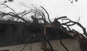 Fortes intempéries : un arbre s'effondre sur une maison à Fontenilles