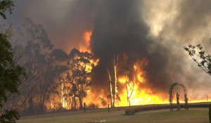 Australie: l'état d'urgence décrété alors que des incendies continuent de faire rage