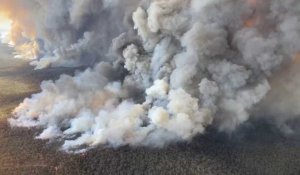 Incendies en Australie: les pompiers s'attendent à un regain des feux