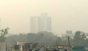 Delhi étouffe dans un brouillard de pollution