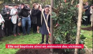 Nicolas Sarkozy à Toulouse pour le baptême de l'allée dédiée aux victimes de Mohamed Merah
