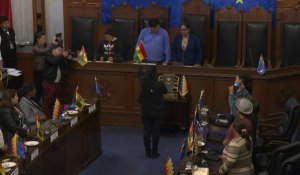 Bolivia: une sénatrice du MAS devient président du Sénat