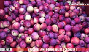 Vaucluse : une pomme Juliet à croquer
