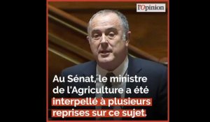 Agriculteurs: l'inquiétant aveu de faiblesse de Didier Guillaume