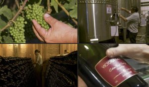 Dans la Serra Gaucha, le Brésil produit un vin mousseux apprécié
