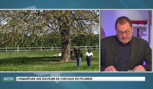 Inquiétude des éleveurs de chevaux en Picardie