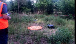 Des drones pour scruter la forêt malade de ses hannetons