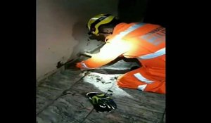 Au Brésil, sauvetage délicat d'un chiot coincé sous le plancher